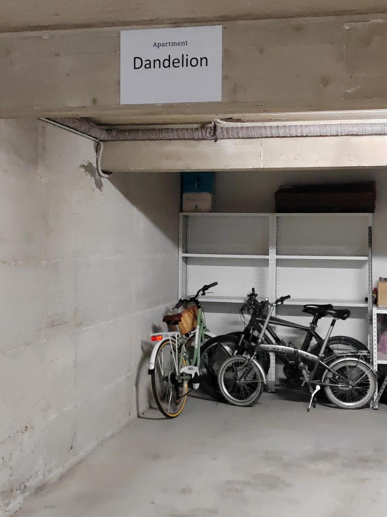 Dandelion Apartment Rovinj-Free Bikes Exterior foto